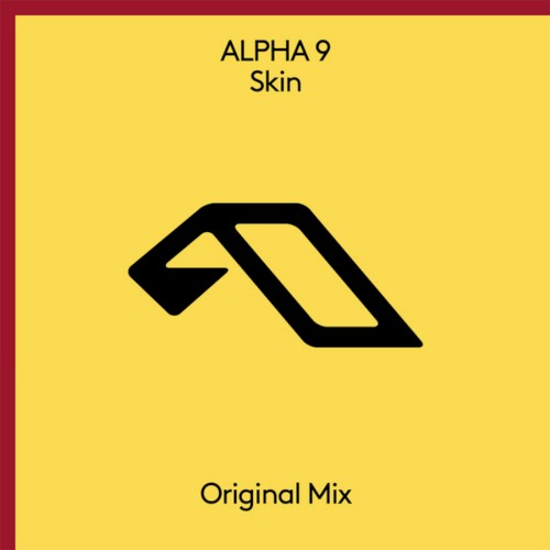 Skin封面