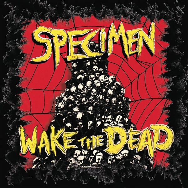 Wake The Dead封面