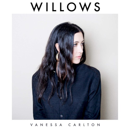Willows封面