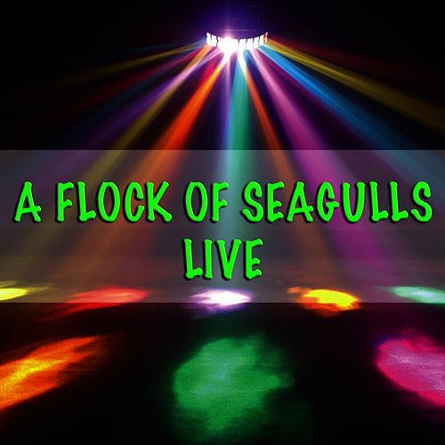 A Flock of Seagulls - Live封面