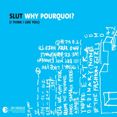 Why Pourquoi? (I Think I Like You)封面