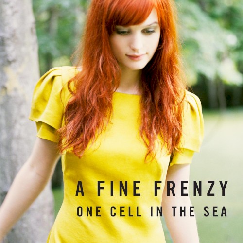 One Cell in the Sea封面
