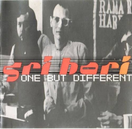 One But Different封面