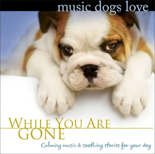 Music Dogs Love: While You Are Gone封面