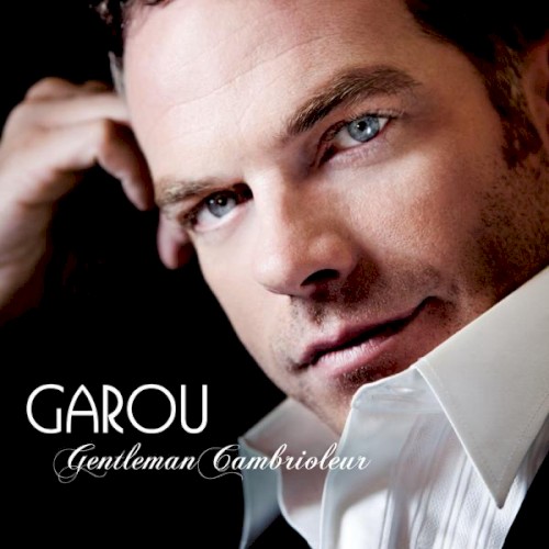 Gentleman cambrioleur封面