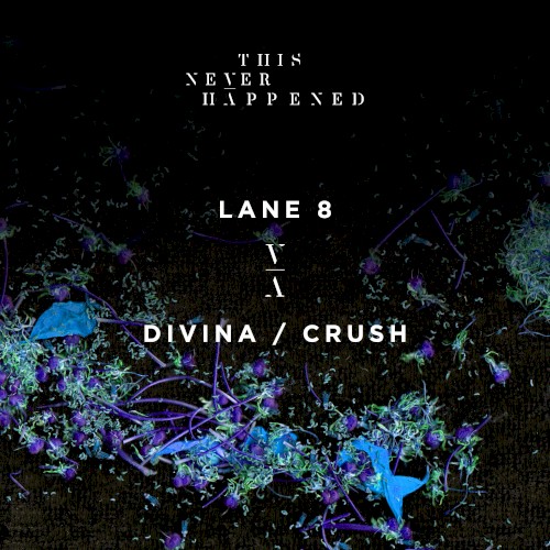 Divina / Crush封面
