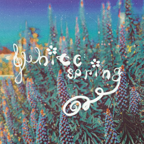 white spring封面