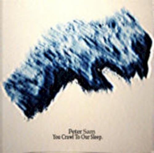 You Crawl To Our Sleep封面