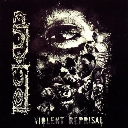 Violent Reprisal封面
