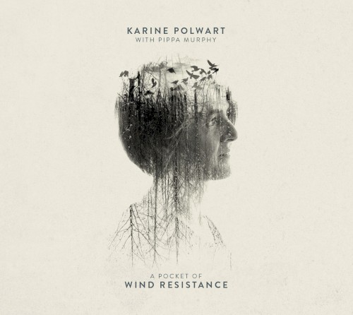 A Pocket of Wind Resistance封面