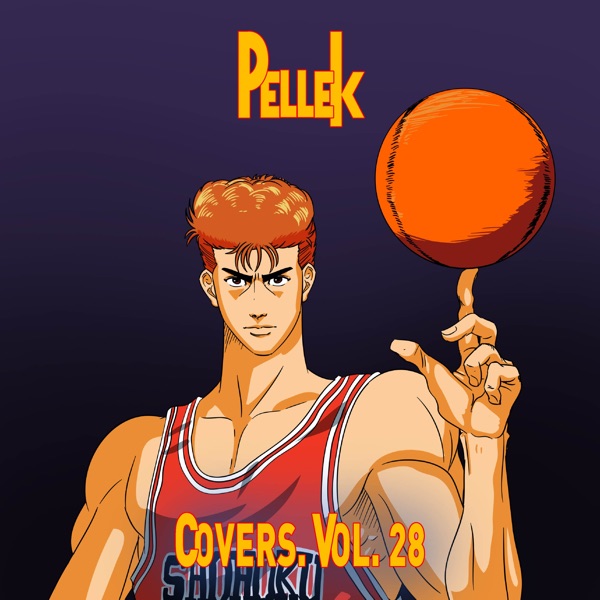 Covers, Vol. 28封面