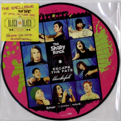 The Shady Bunch封面
