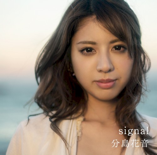 signal封面