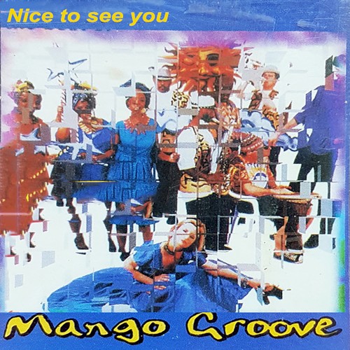 Nice to See You封面
