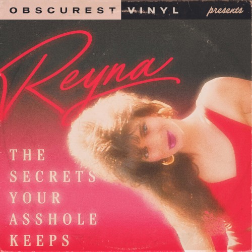 The Secrets Your Asshole Keeps封面