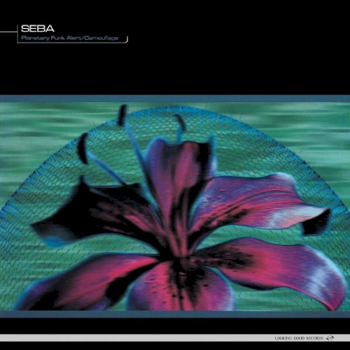 Planetary Funk Alert / Camouflage封面