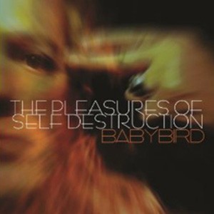 The Pleasures of Self Destruction封面