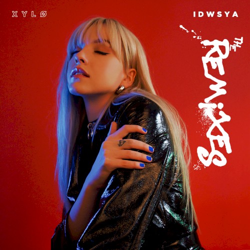 I Don’t Want to See You Anymore (the remixes)封面