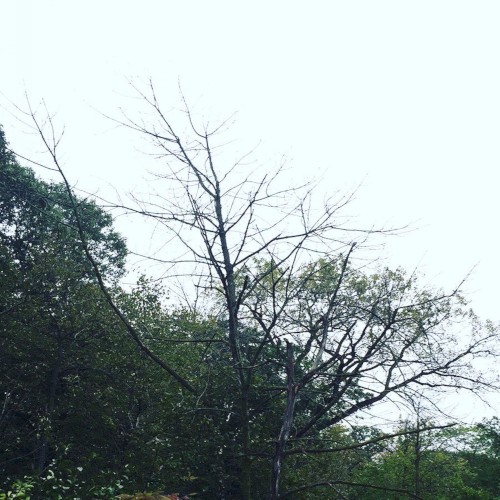 Rain封面