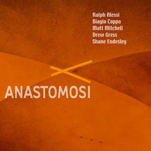 Anastomosi封面