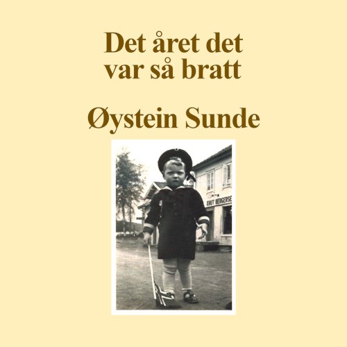 Det året det var så bratt封面