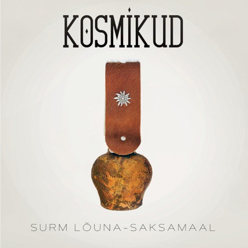 Surm Lõuna-Saksamaal封面