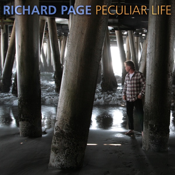 Peculiar Life封面