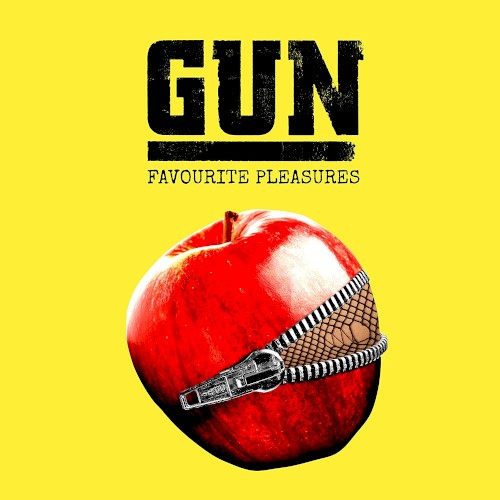 Favourite Pleasures封面