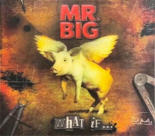 What If…封面