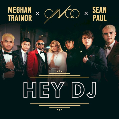 Hey DJ (remix)封面