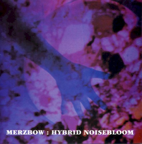 Hybrid Noisebloom封面