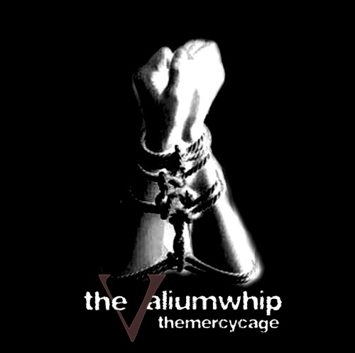 The Valium Whip封面
