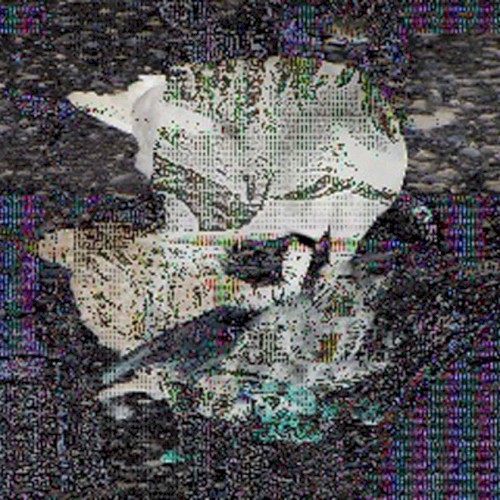 Death Grips封面
