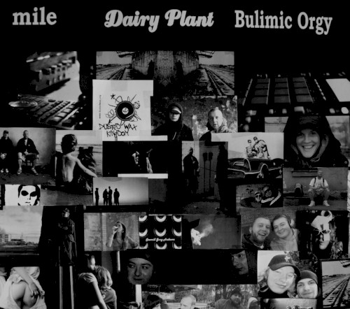Dairy Plant LP封面