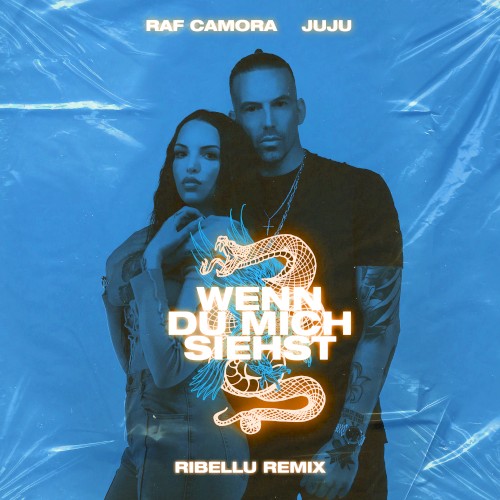 Wenn du mich siehst (RIBELLU remix)封面