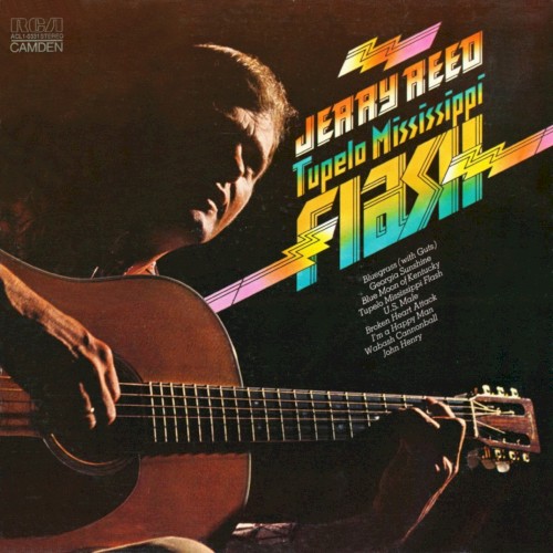 Tupelo Mississippi Flash封面