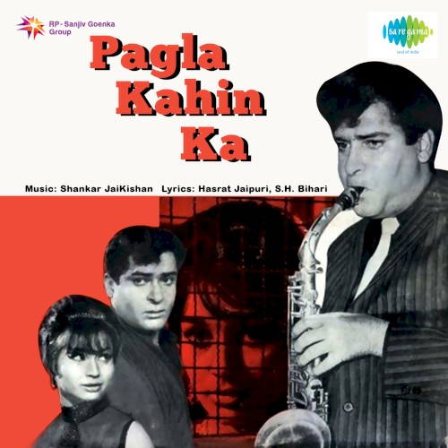 Pagla Kahin Ka封面