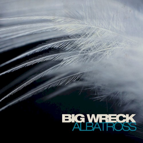 Albatross封面