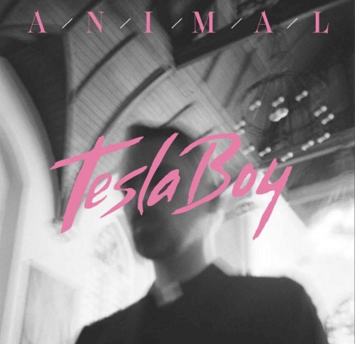 Animal封面