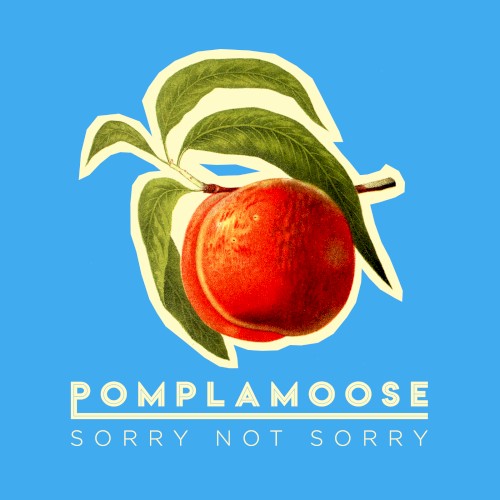 Sorry Not Sorry封面