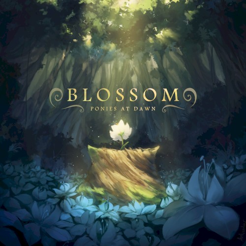 Blossom封面