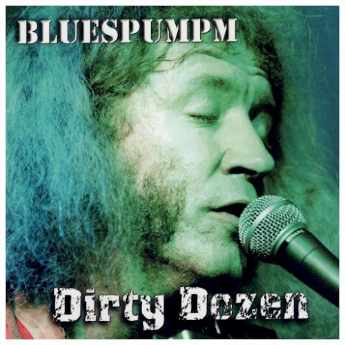 Dirty Dozen封面