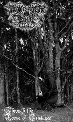 Through the Noose of Existance封面