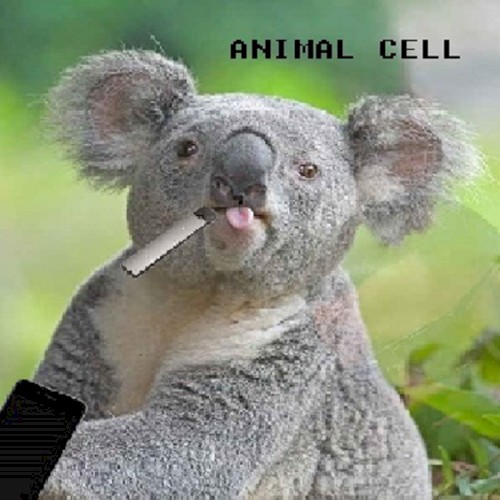 ANIMAL CELL封面
