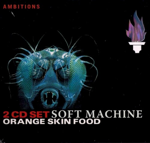 Orange Skin Food封面