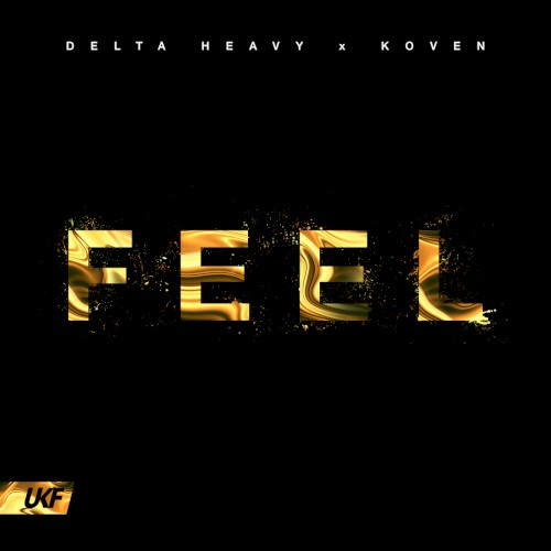 FEEL封面