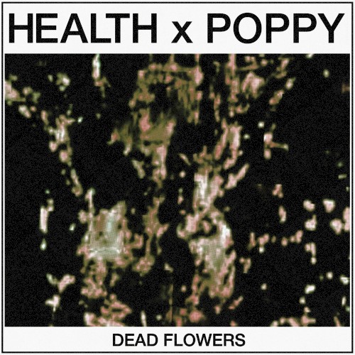 DEAD FLOWERS封面