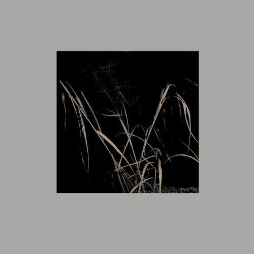v02 Variant [ I–IV ]封面