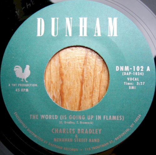 The World (Is Going Up in Flames)封面