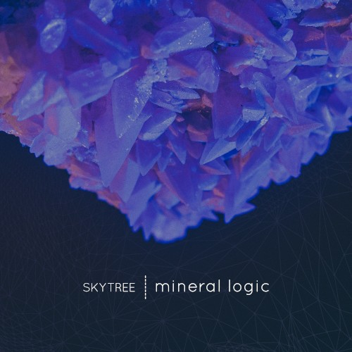 Mineral Logic封面